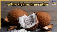 coconut peel break