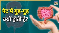 gut health tips