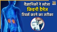 Kidney Damage