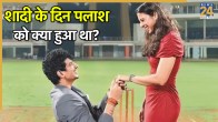 Palash Muchhal