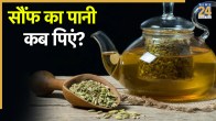 saunf water benefits