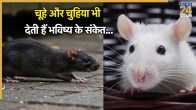 shakun shastra