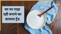 Green chilli curd