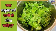 Bathua Leaves Cleaning Tips (2)