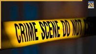 Crime Scene