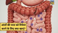 Damaged Gut Lining