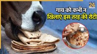 Grah Dosh Causes