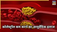 How To Control Cholesterol Naturally