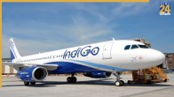 INDIGO-FLIGHT
