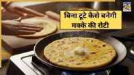 Makki Ki Roti