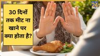 No Meat Diet