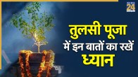 Tulsi Puja Rules