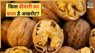 Walnut Benefits