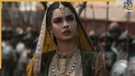 Chhaava bollywood highest grossing movie 2025