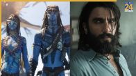Dhurandhar and Avatar 3 Box Office Collection