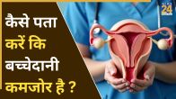 symptoms of weak uterus