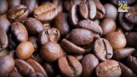 Coffee Health Benefits