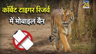 Corbett Tiger Reserve