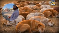 Telangana dog killing