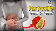 Gallbladder Stone
