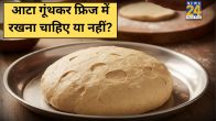 Kneaded Dough
