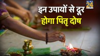 Pitra Dosh Upay