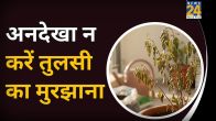 TULSI