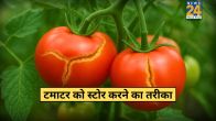 Tomato One Month Storing Tips 