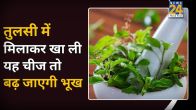 Bhook Badhane Ke Liye Kya Kare
