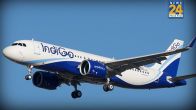 Indigo Iran