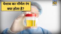 Urine Color Normal