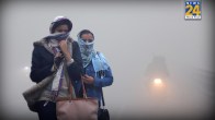 delhi weather
