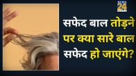 White Hair Myth