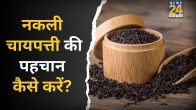 fake chaipatti