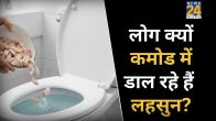 Why Garlic Flushing In Toilet