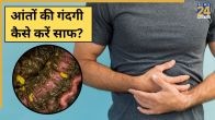 Aant Ki Gandagi Kaise Kare Saaf