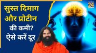 Brain Fog Due To Protein Deficiency Natural Remedy