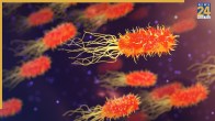 Blood Group And Cancer Risk