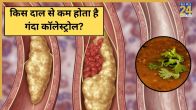 Dal For Cholesterol