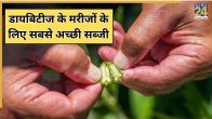 Diabetes Diet
