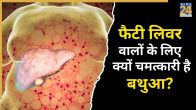 How White Goosefoot Effects Fatty Liver Problem