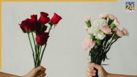 Rose Day 2026
