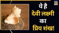 Shankh-Ke-Prakar
