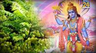 amalaki-ekadashi
