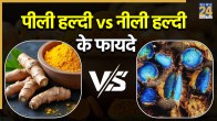 Peeli and Neeli Haldi