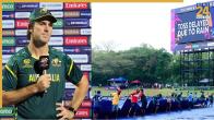 ireland vs zimbabwe and australia