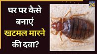 khatmal ki dawa