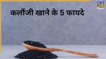Image Source Freepik वजन घटाने से लेकर ब्लड शुगर कंट्रोल तक, कलौंजी के फायदे कर देंगे हैरान