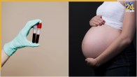 Can Anemia Affect Fertility In Women