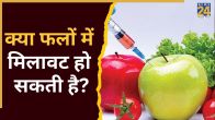 Chemical Fruits Identify